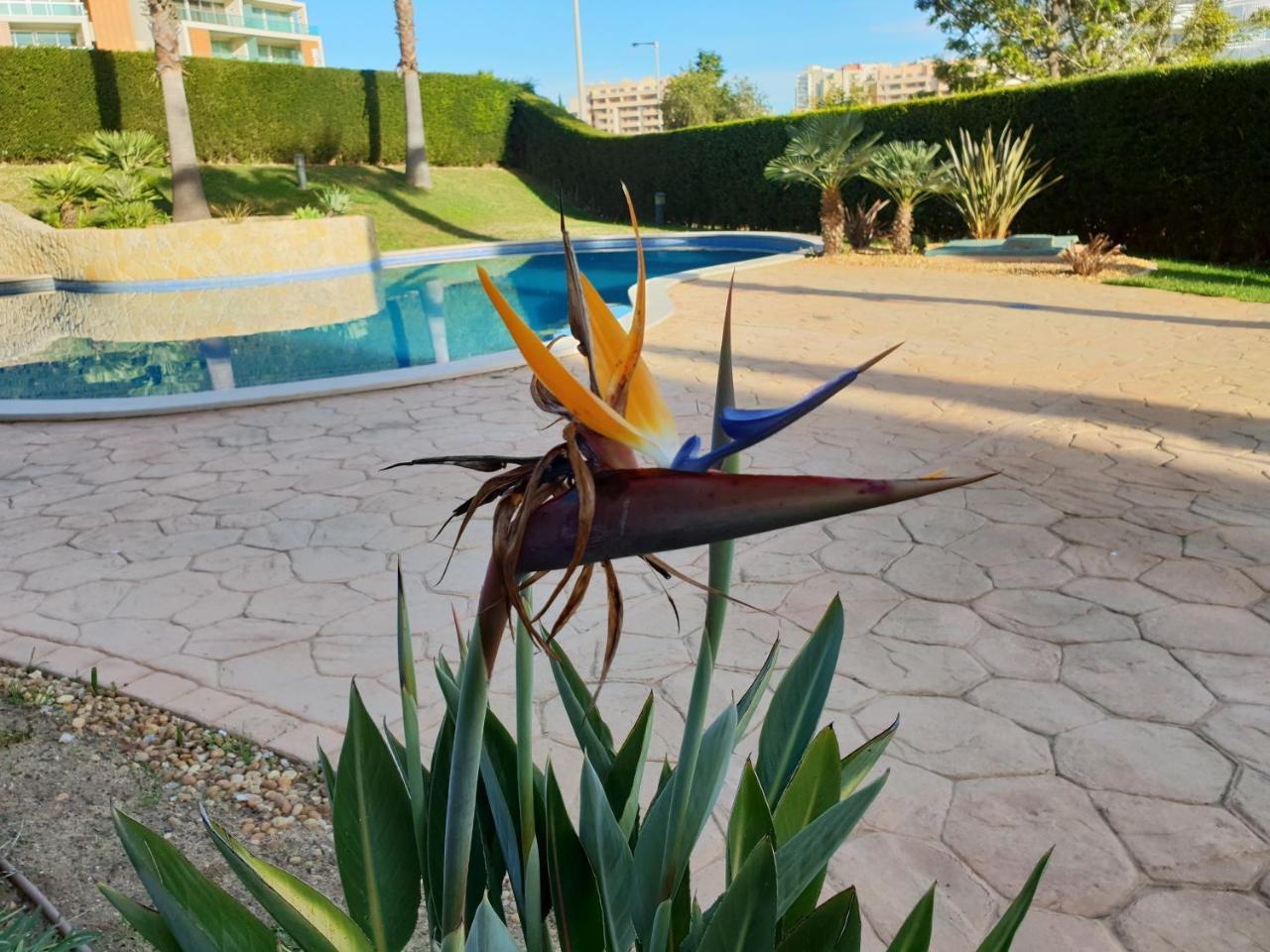Apartamento Litoral Mar